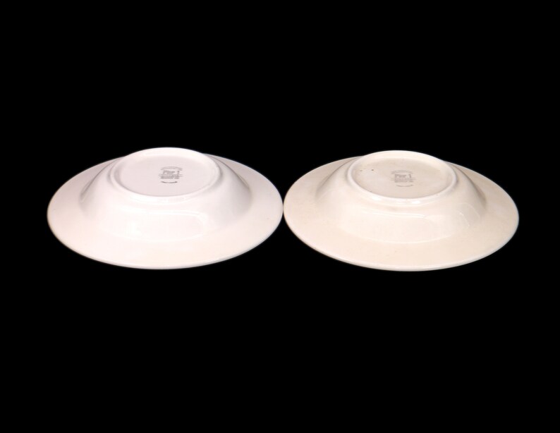 Pair of Pier 1 Vizcaya Rimmed Soup Bowls Made in Italy. Etsy Canada