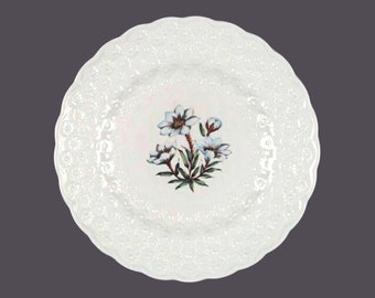 Spode Canadian Provincial Flowers Northwest Territories Mountain Avens luncheon plate made in England.