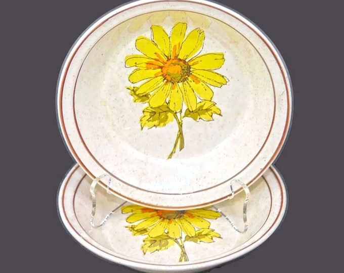 Vintage Arklow Charleen Stoneware dessert bowls: Yellow Daisies (Pair)