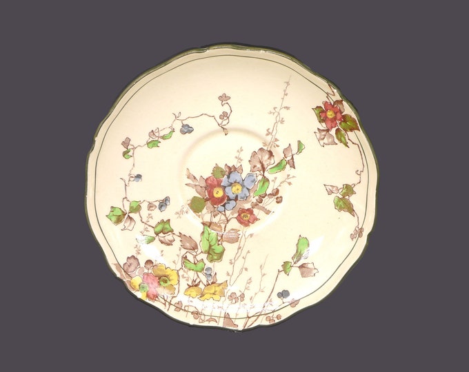 Royal Doulton Kew D4941 hand-decorated orphan saucer only made in England. Flaws (see below).