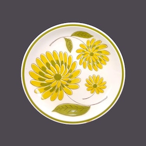 Mikasa Tampa retro flower-power large, stoneware dinner plate. Cera-Stone stoneware made in Japan. Stains (see below).