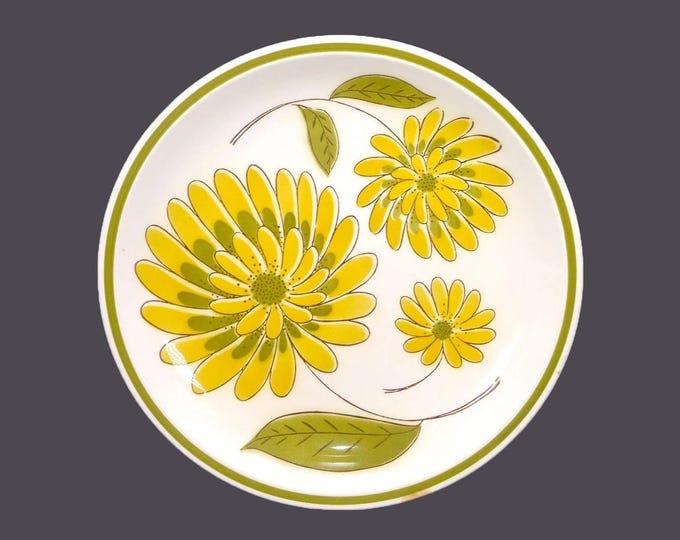 Mikasa Tampa retro flower-power large, stoneware dinner plate. Cera-Stone stoneware made in Japan. Stains (see below).