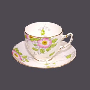 Adderley 137 hand-painted bone china cup and saucer set made in England.