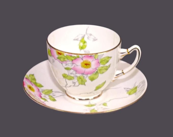 Adderley 137 hand-painted bone china cup and saucer set made in England.