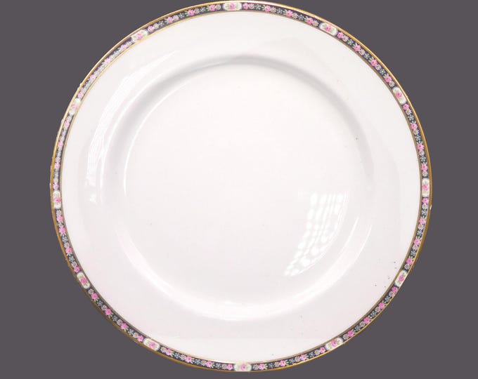 Antique Victorian era John Maddock MAD7 dinner plate. Royal Vitreous Ironstone made in England. Sold individually.