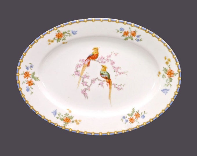 Antique Altrohlau | MZ Czechoslovakia Victoria oval platter made in Czechoslovakia. Flaw (see below).