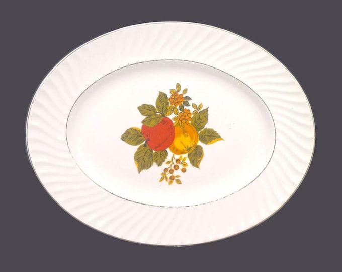 Vintage Wedgwood English Harvest oval platter made in England. Fall fruit.