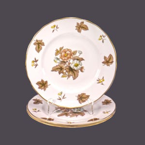 Piatti da insalata vintage Royal Worcester Dorchester Z2637, realizzati in Inghilterra. Senza costola. 3 piatti.