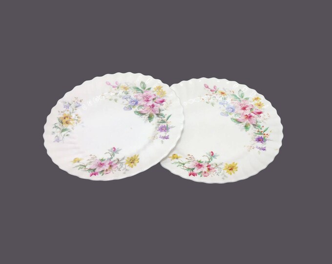 Pair of Royal Doulton Arcadia H4802 luncheon plates made in England.
