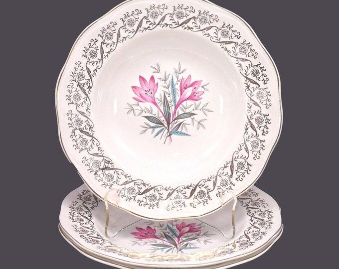 Three British Anchor Pottery 6001 rimmed soup bowls. Regency Ironstone made in England.