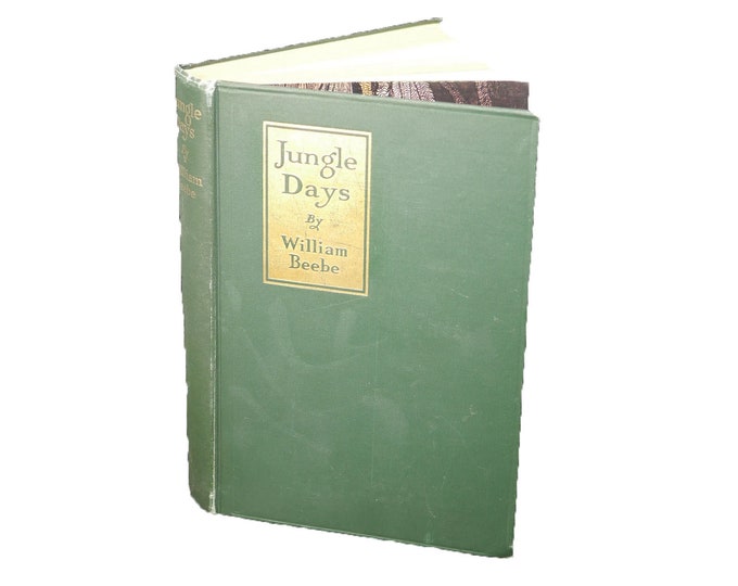 Almost antique first-edition hardcover book Jungle Days William Beebe. Published New York G.P. Putnams | Knickerbocker Press.