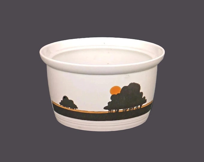Royal Doulton Prairie LS1031 two-quart stoneware casserole. Lambethware stoneware made in England.