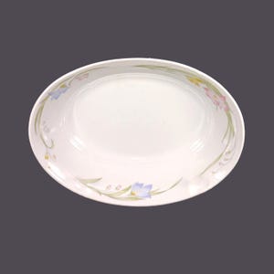 Vintage Fine China of Japan French Garden oval serving bowl.