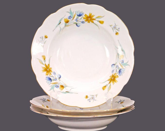 Three Cmielow rimmed soup bowls made in Poland. Blue and yellow dragon flowers.