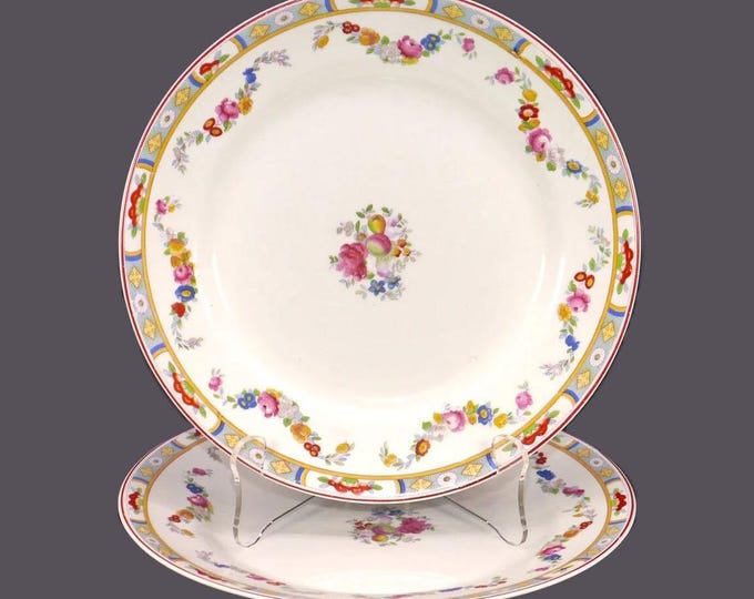 Pair of antique Johnson Brothers Arundale luncheon plates. Pareek ironstone made in England.