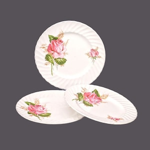 Three Swinnertons | Royal Wessex Alicia bread plates made in England.