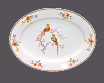 Antique MZ Altrohlau Victoria oval platter made Czechoslovakia. Bird of Paradise.