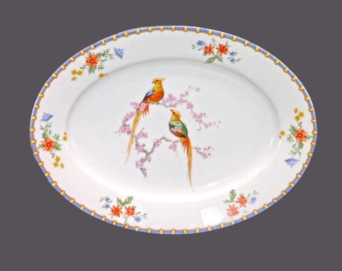 Antique Altrohlau MZ Austria Victoria oval platter made Czechoslovakia. Bird of Paradise.