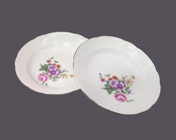 Pair of Kahla KHL75 rimmed soup bowls made in Germany.
