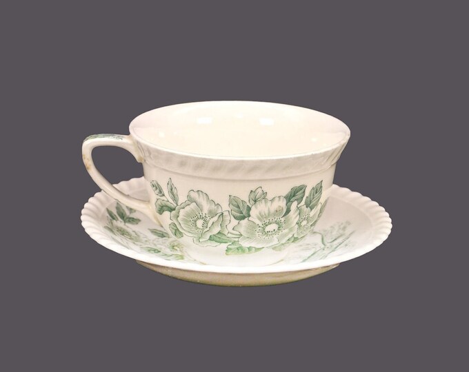 Edwardian-Age Johnson Brothers Appleblossom Green cup and saucer set. Windsor Ware ironstone made in England. Minor flaw (see below).