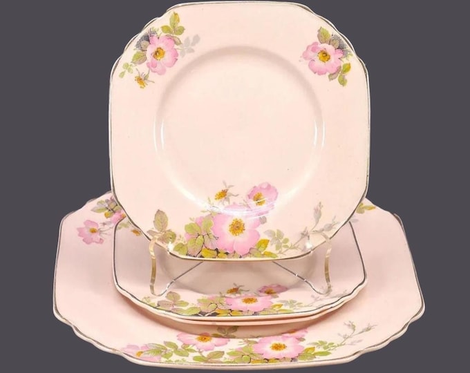 Antique Wedgwood Sweet Briar Rose Blush dessert plate set made in England. One square serving plate, three square side plates.
