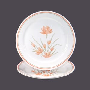 Corelle Corningware Peach Floral dinner plates made in USA. Choose quantity below.