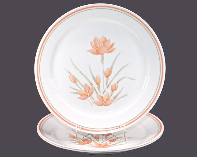 Corelle Corningware Peach Floral dinner plates made in USA. Choose quantity below.