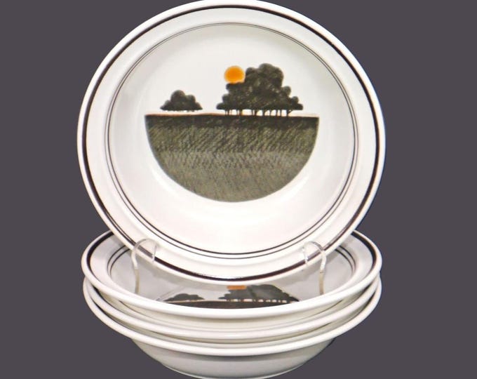 Vintage Royal Doulton Prairie LS1031 stoneware soup bowls. Lambethware England. 4 bowls.