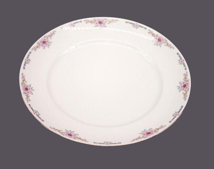 Alfred Meakin Milldale dinner plate made in England. Sold individually.