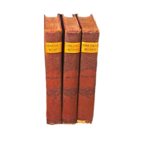 Antiquarian Edna Lyall 3 Book Set: Donovan, We Two, Knight Errant. 1890s.