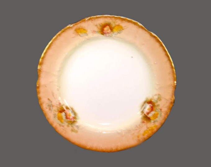Antique Victorian era Adderley hand-painted numbered dessert plate. Rd pattern #341448 | 10388 to back. Made in England.
