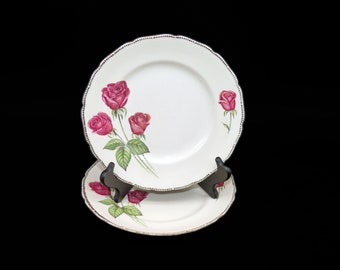Pair of Royal Swan Anniversary Rose dinner plates made in England.