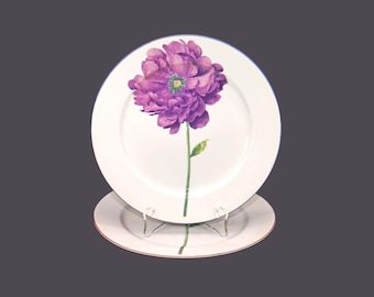 Pair of  Royal Stafford Flower Power | Flower Show | Poppy luncheon plates. Central flowers in purple, red coordinating trim. Flaws.
