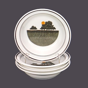 Royal Doulton Prairie LS1031 縁付きストーンウェア スープボウル 4 個。イギリス製 Lambethware ストーンウェア。