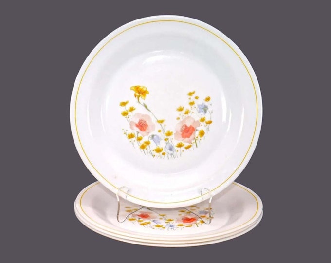Four Arcopal ARP11 milk glass dinner plates made in France.