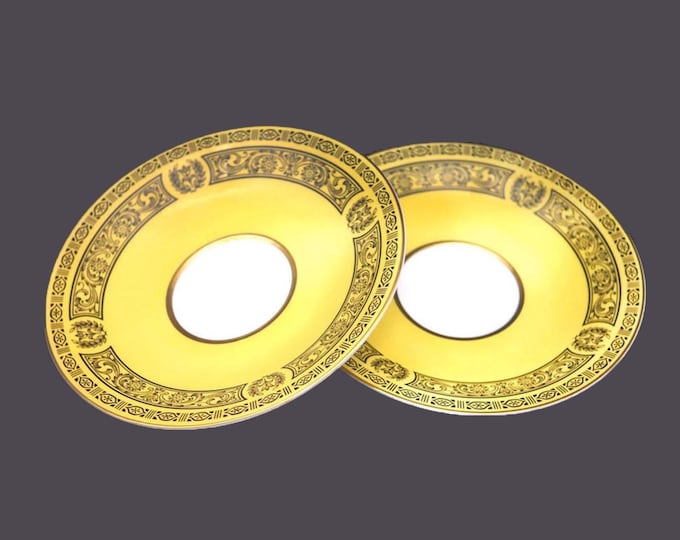 Pair of Sears China Golden Damask 3549 orphaned saucers only made in Japan.
