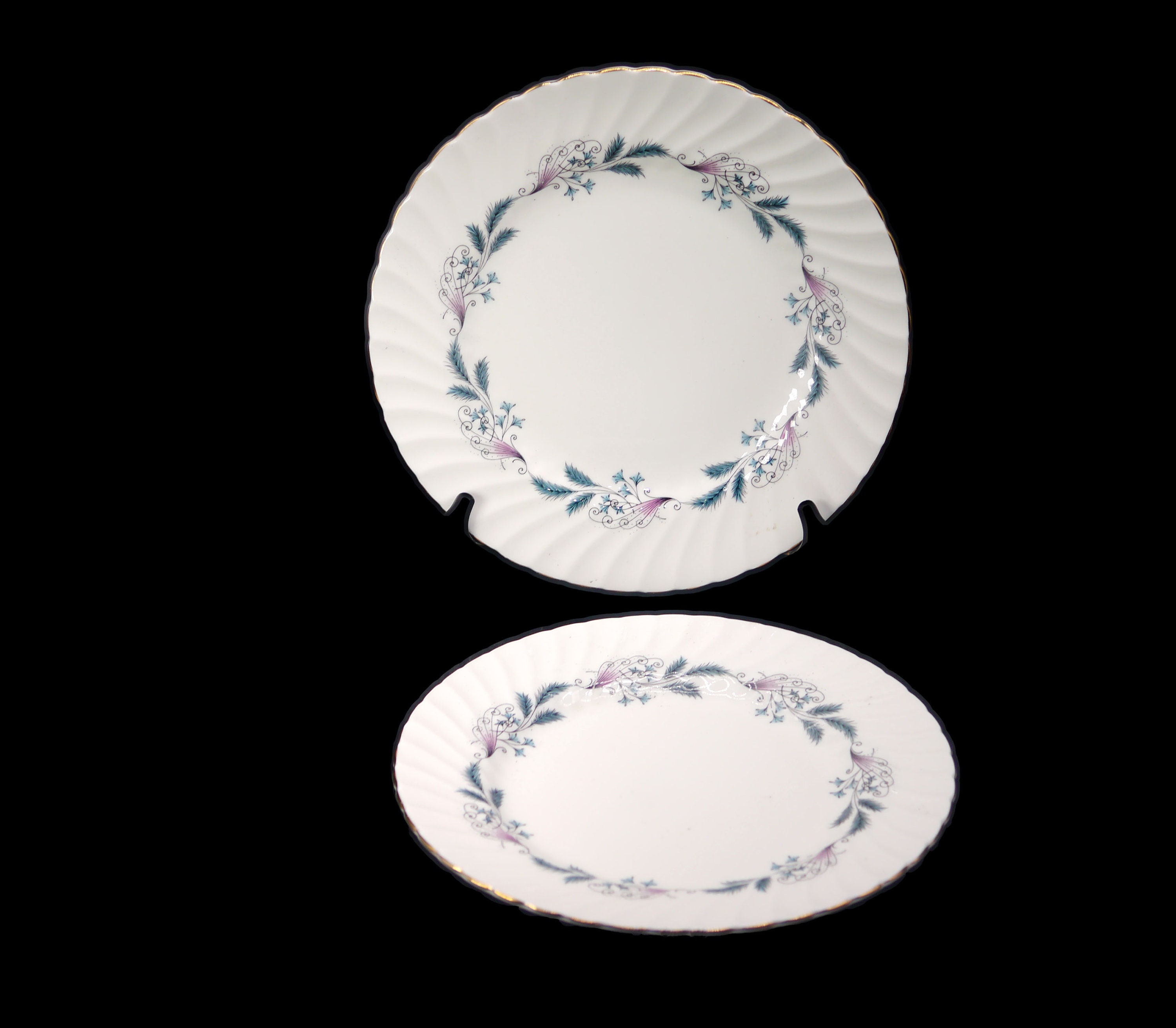 Pair of Heathcote China Carrousel dinner plates. Bone china made in