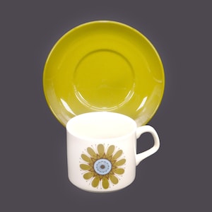 Retro vintage J&G Meakin Galaxy cup and saucer set. Boho flower-power made in England.