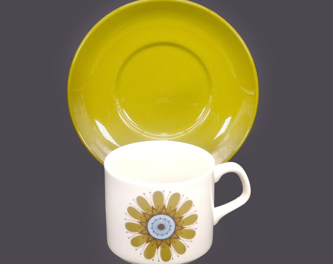 Retro J&G Meakin Galaxy cup and saucer set. Boho flower-power tableware made in England.