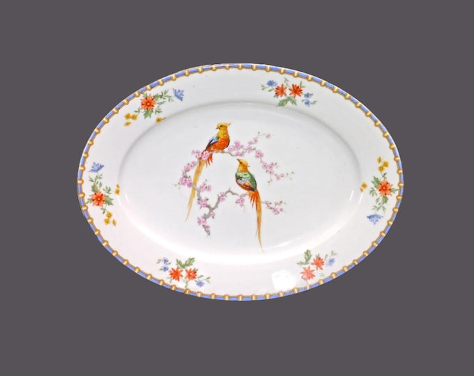 Antique Altrohlau | MZ Austria | Moritz Zdekauer Victoria oval platter made in Czechoslovakia.
