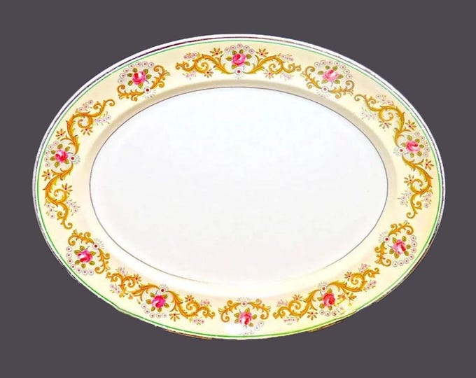 Johnson Brothers JB329 | Twyford oval platter. Pareek ironstone made in England.