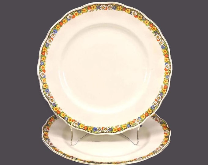 Pair of Grindley Raymond dinner plates. Cream Petal ironstone made in England. Hard to find.