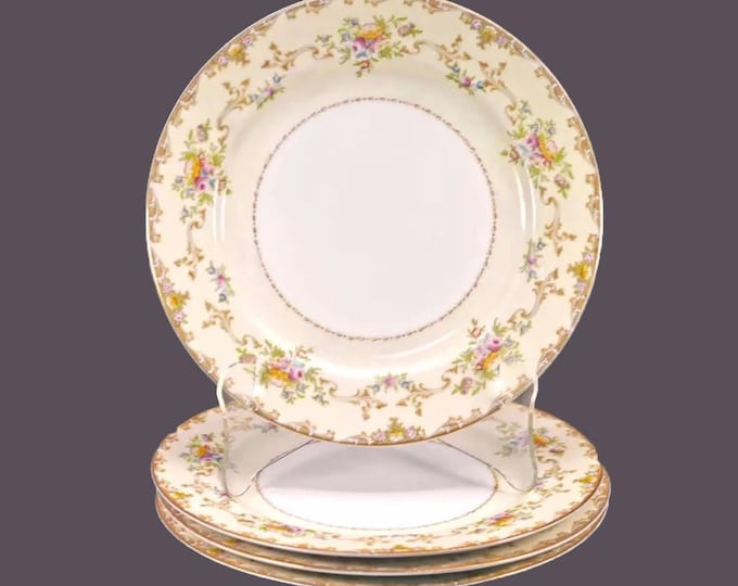 Meito dinner plates made in Japan. Multicolor floral sprays, yellow band, tan scrolls. Choose quantity below