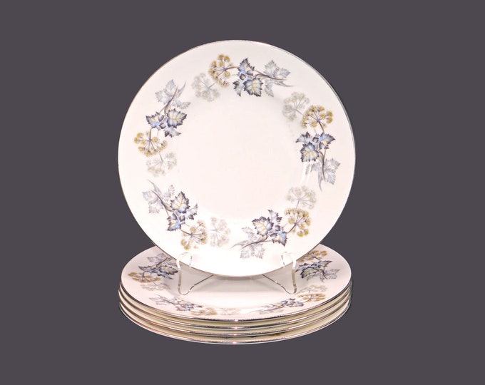 Five Coalport Camelot salad plates. Bone china made in England.