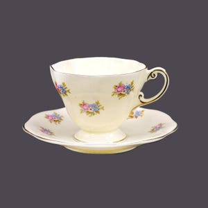 Vintage Foley Bone China V364 tea set: Pink Roses, Blue Flowers, England