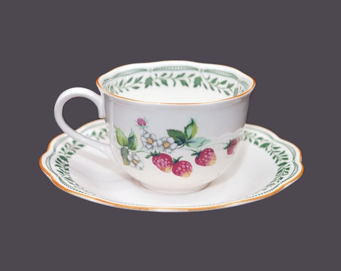 Nikko Medley cup and saucer set made in Japan. Sold individually.