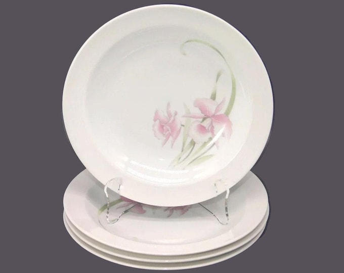 Colditz Porzellan | CP Colditz rimmed soup bowls. Pink flowers. made in Germany. Choose quantity below.