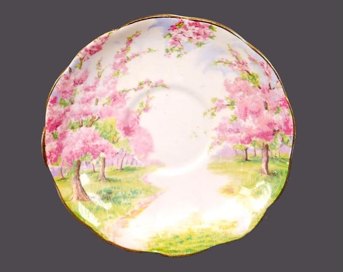 Royal Albert Blossom Time orphaned saucer only. Bone china made in England.