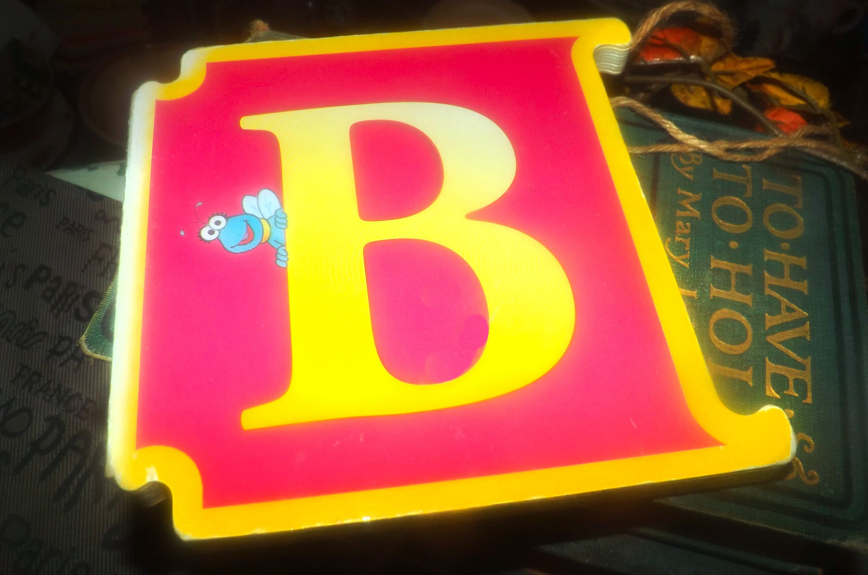 Vintage (1996) CTW Sesame Street Letter B: Zoe and the Runaway Ball