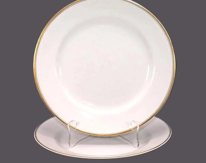 Antique Johnson Brothers Goldein dinner plates made in England. 2 plates. Flaw.